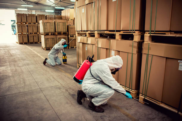 Best Best Pest Control Companies  in Batesville, AR