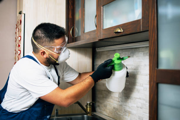 Best Pest Removal Services  in Batesville, AR