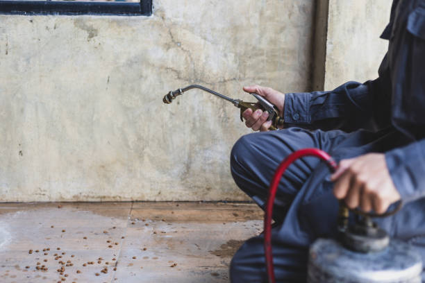Best Emergency Pest Control  in Batesville, AR