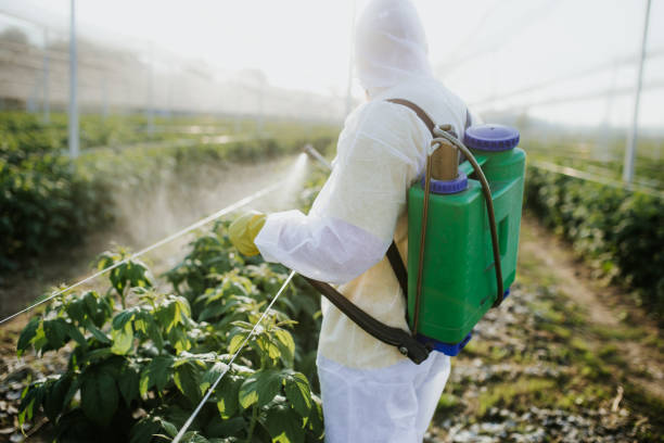 Best Exterminator Services  in Batesville, AR